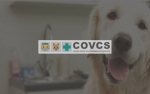Fallo del Concurso Sede Colegio de Veterinarios de Castellón